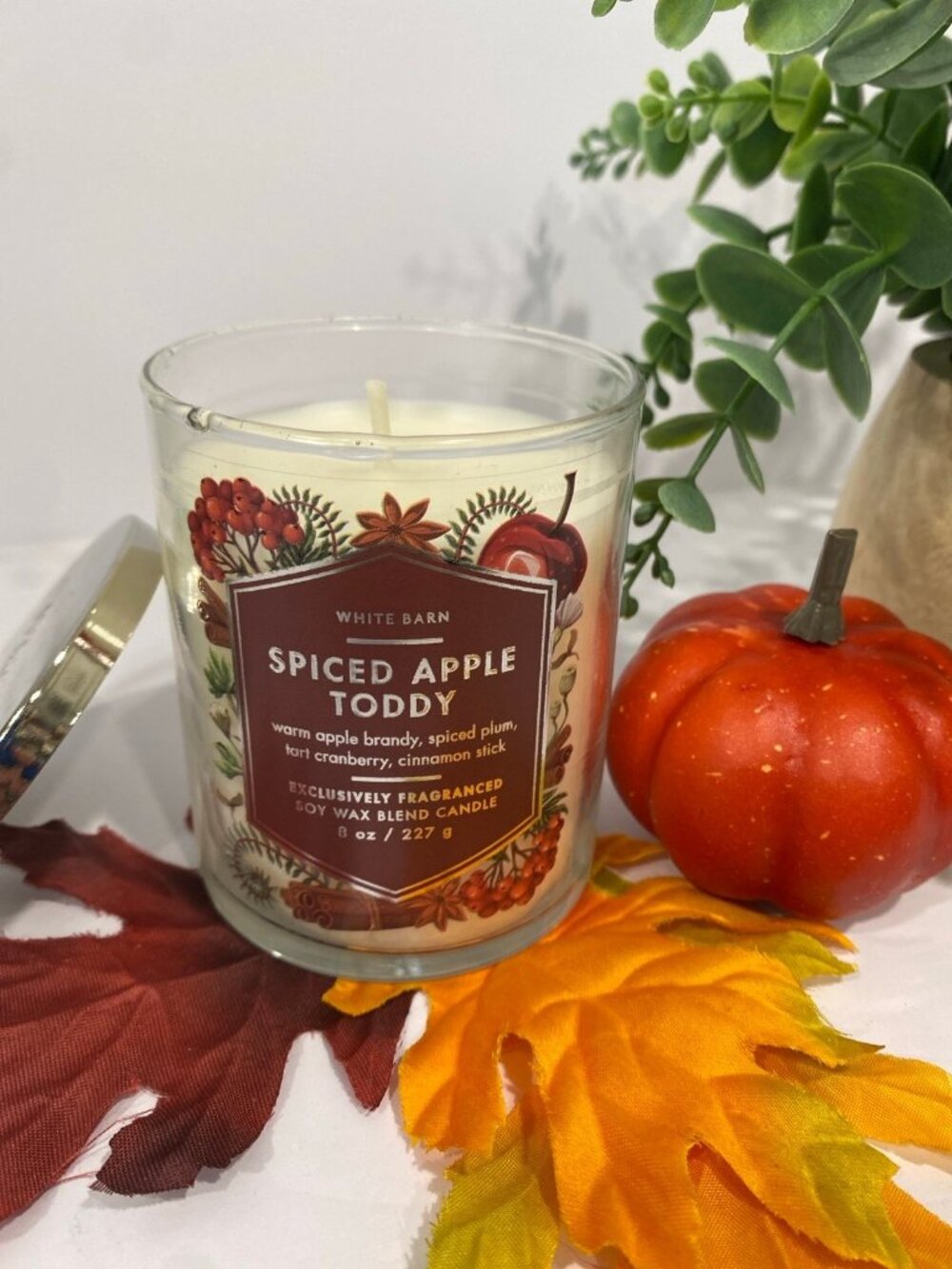 "Spiced Apple Toddy” Bath & Body Works New Single Wick Candle